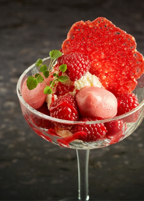 Vanille-ijs met Fruit-Espuma Raspberry en Kletskop Framboos