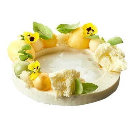 Lemon Squash