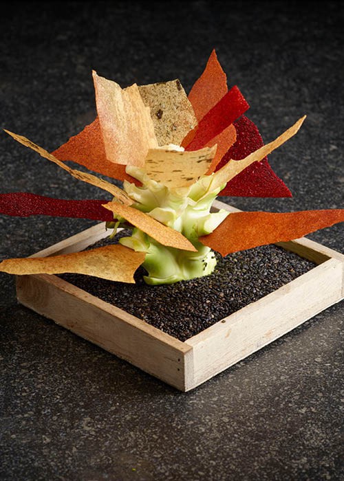 Broccoliboom met groentevellen