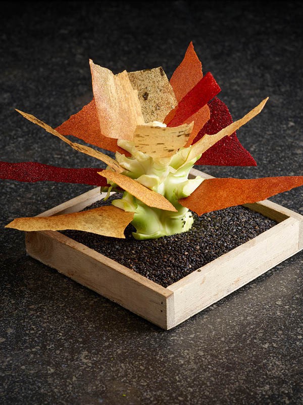 Broccoliboom met groentevellen